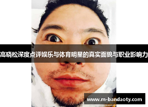 高晓松深度点评娱乐与体育明星的真实面貌与职业影响力